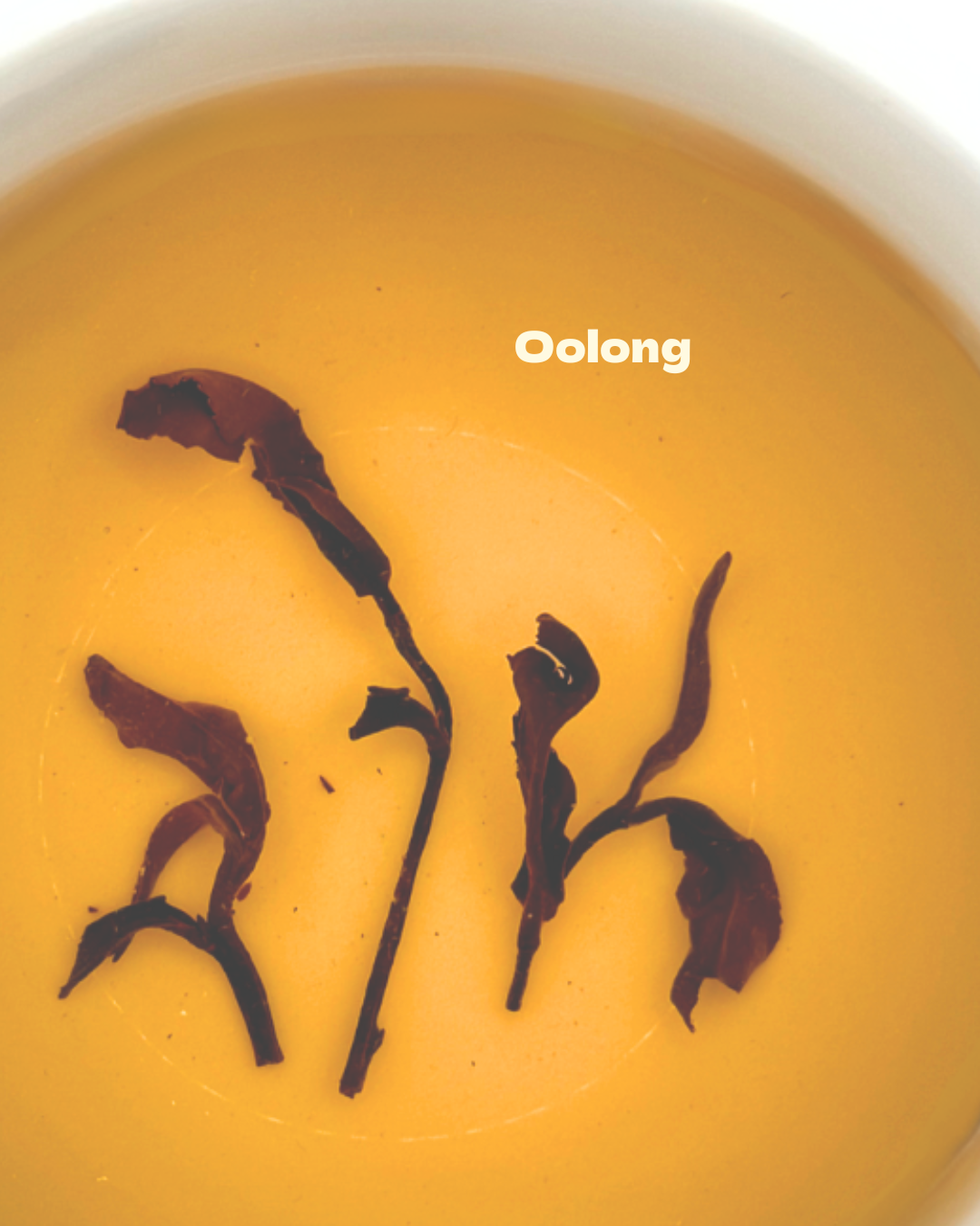 Oolong Tee