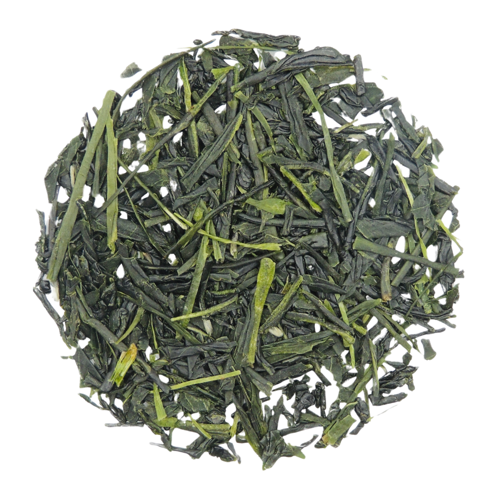 Sencha Familie Moriuchi - Tee Zwanck