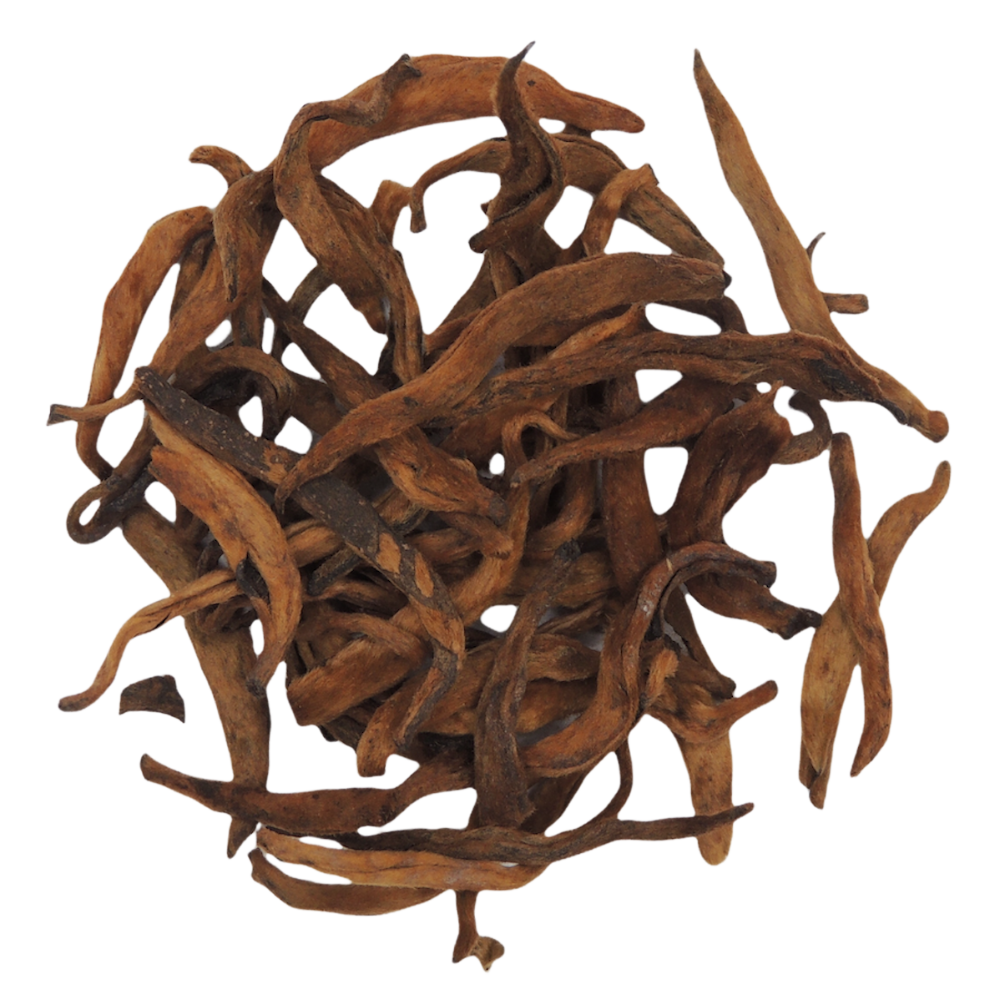 Golden Pu Erh - Tee Zwanck