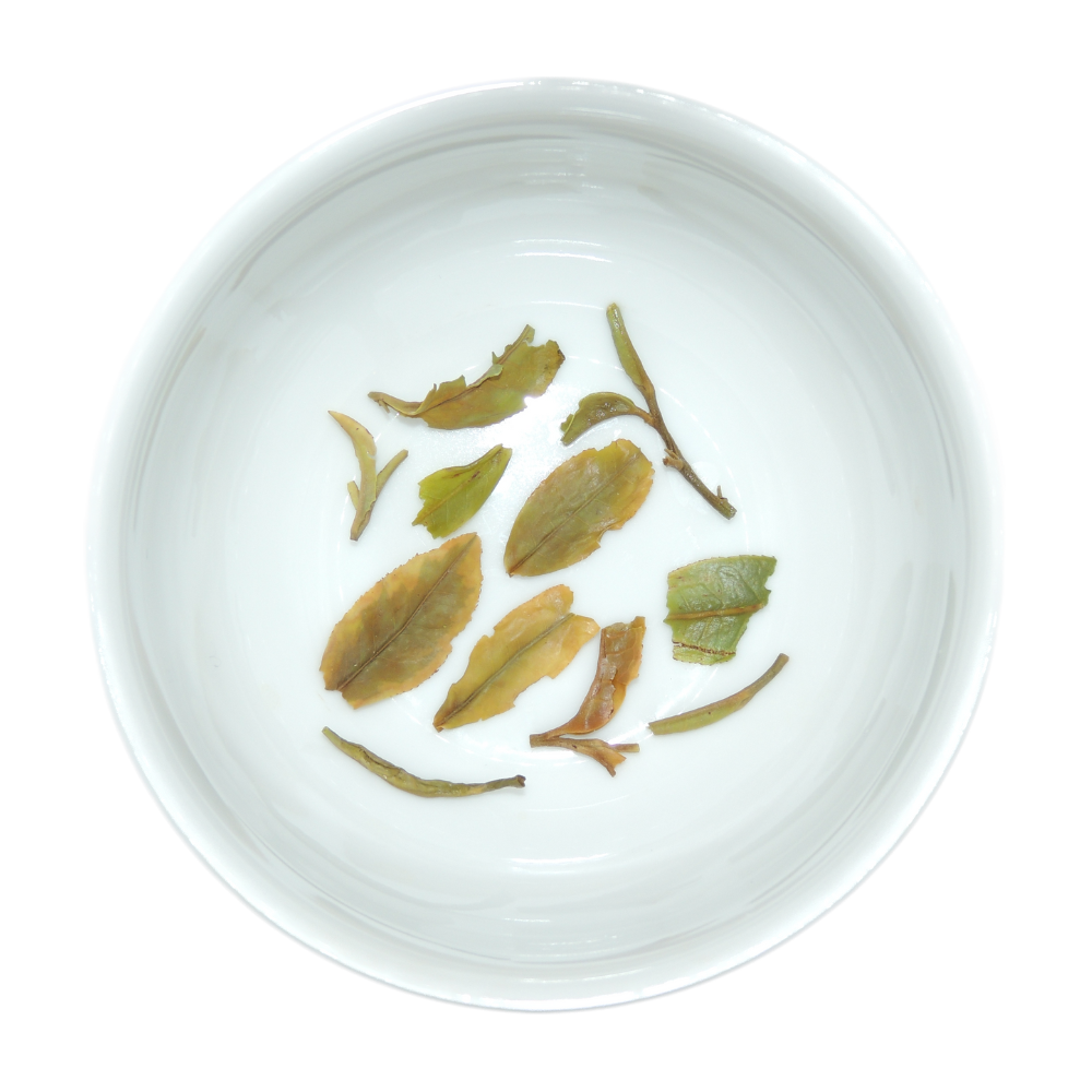 Darjeeling Flugtee 2025 BIO