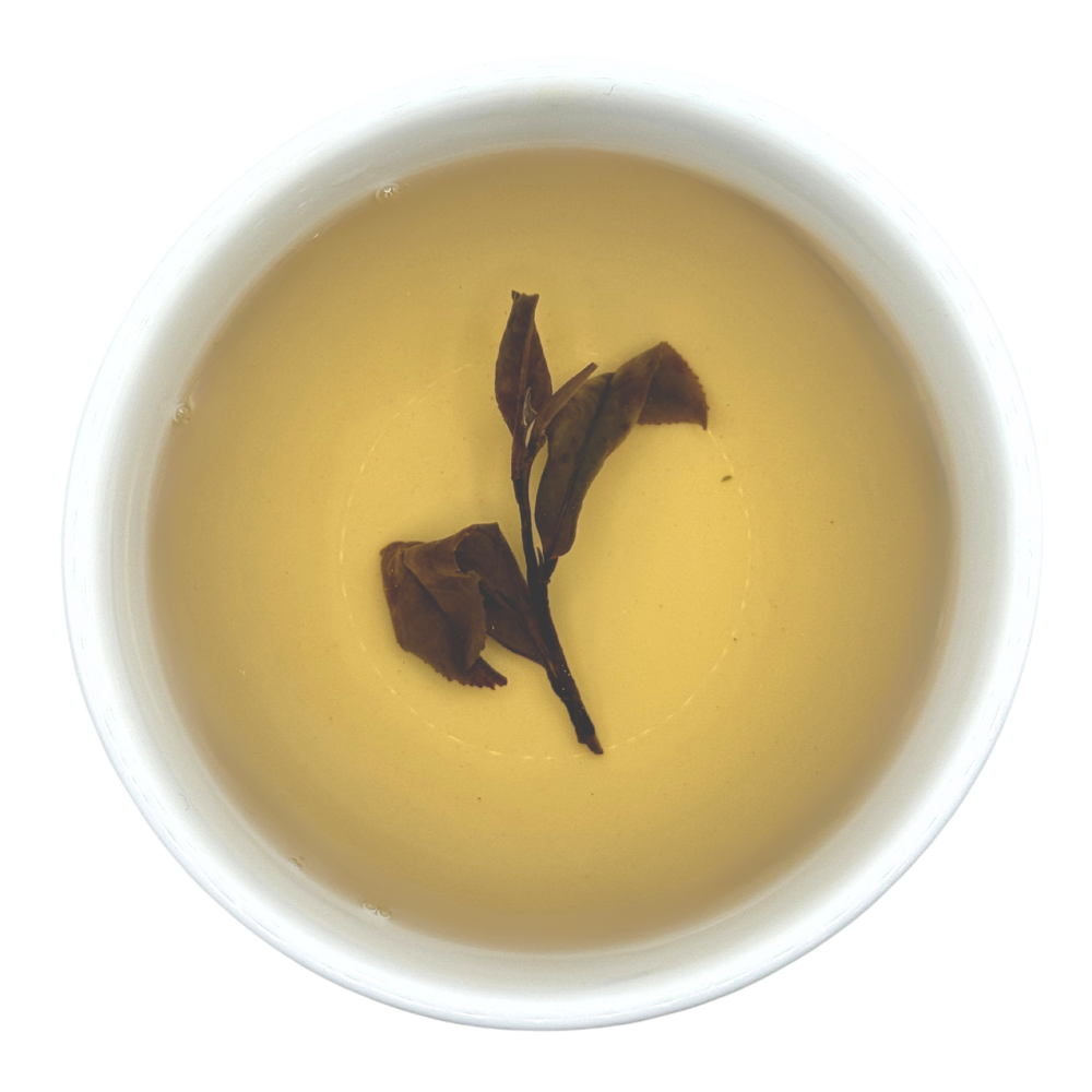 Pai Mu Tan BIO - Tee Zwanck