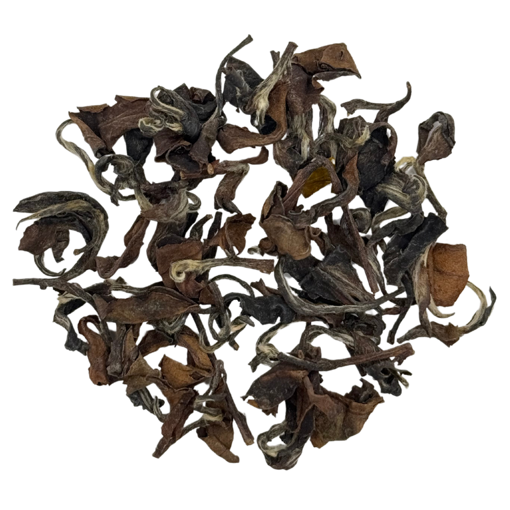 Oriental Beauty - Tee Zwanck