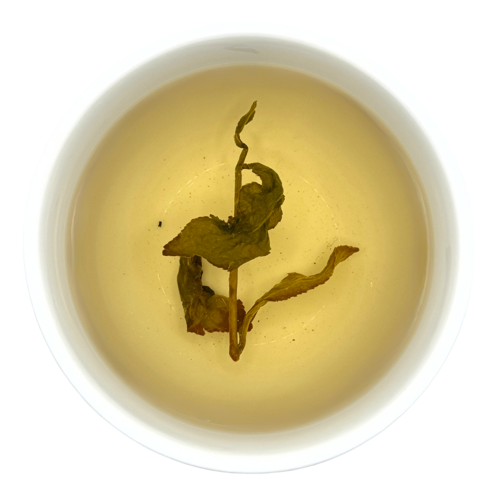 Four Seasons Oolong