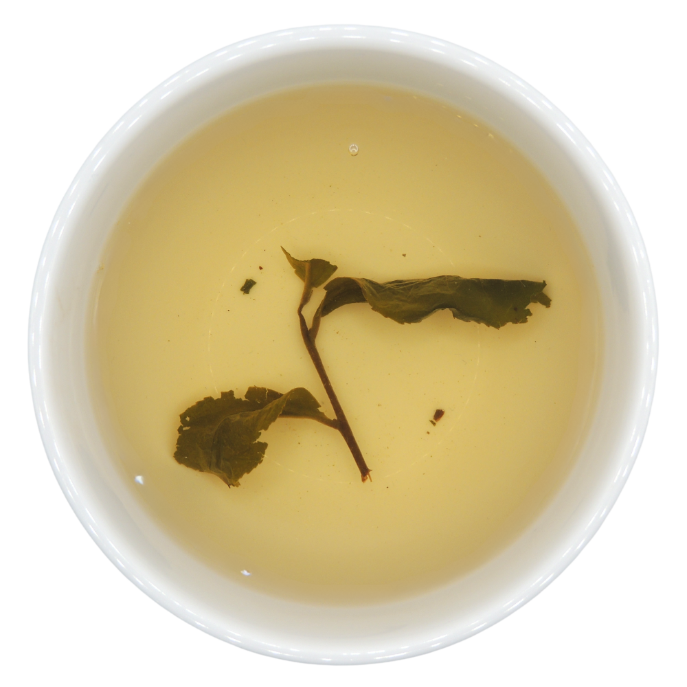 Jade Oolong