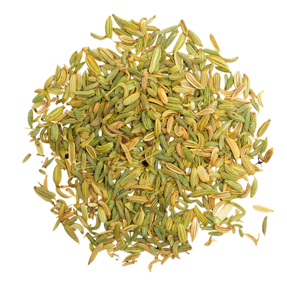 Fenchel BIO - Tee Zwanck