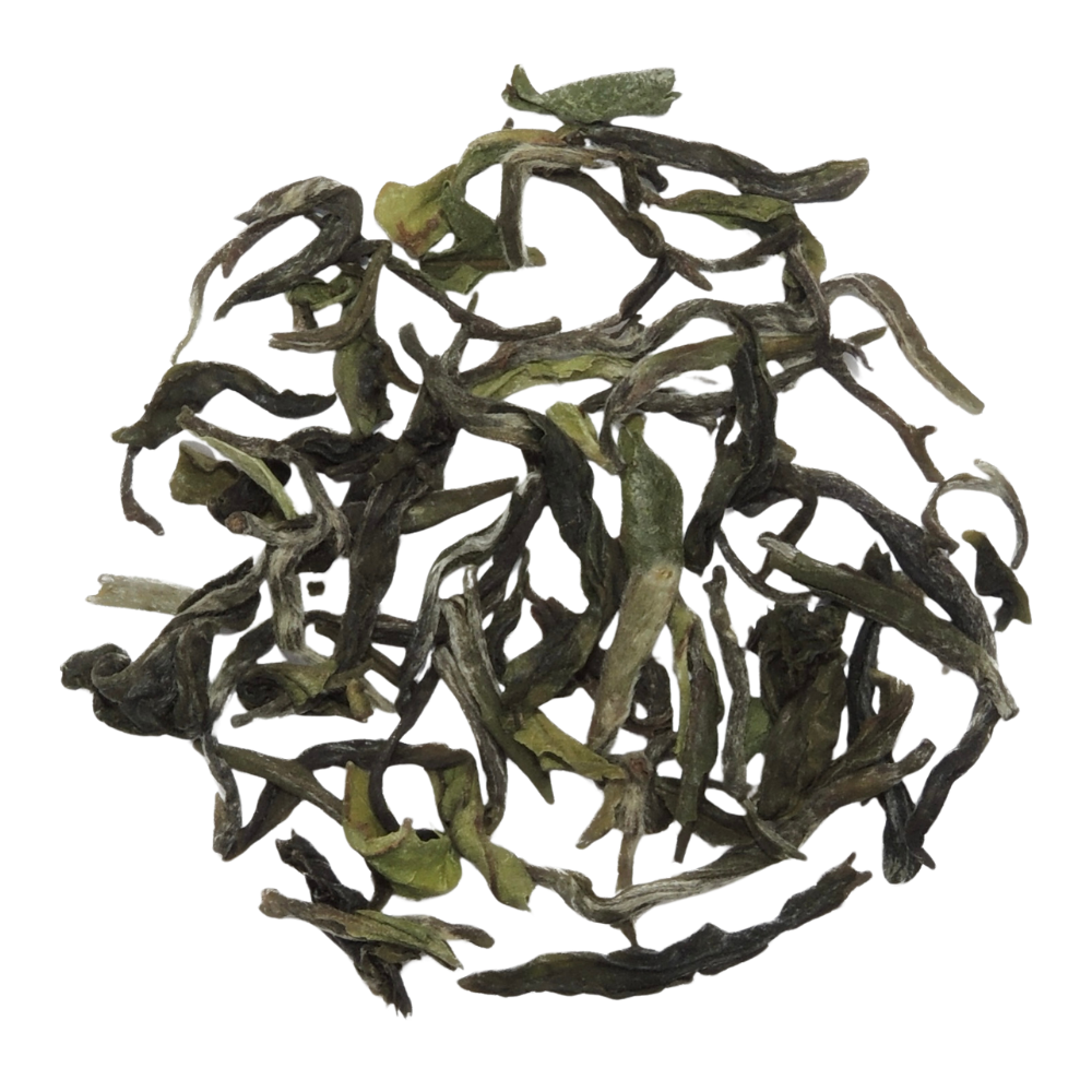 Darjeeling Edelgewächs BIO - Tee Zwanck