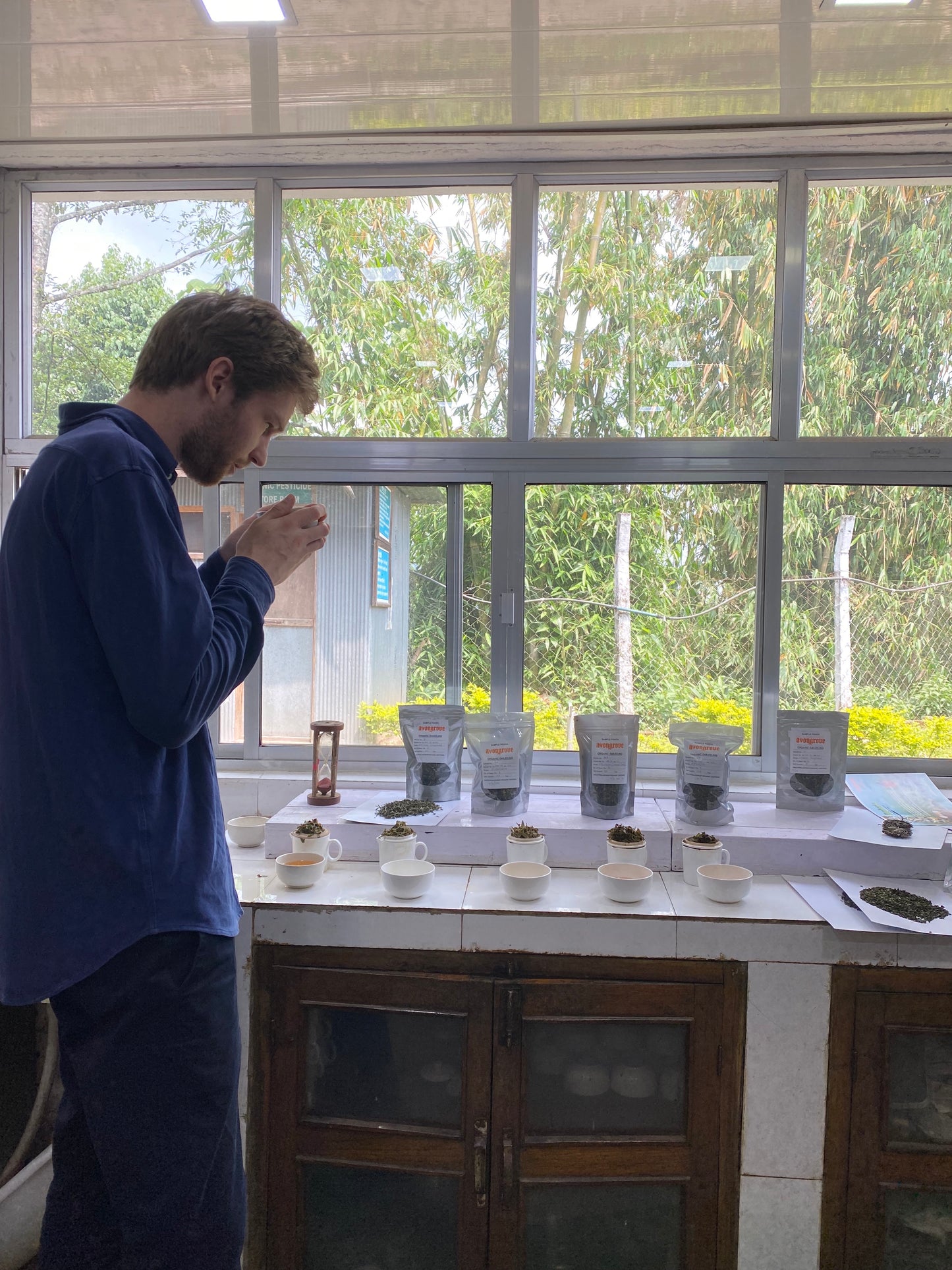 "FLUGTEE" FRISCHER FIRST FLUSH DARJEELING BIO - Tee Zwanck