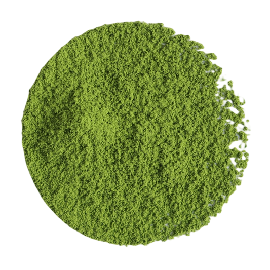 Uji Matcha Okumidori Zeremonie - Tee Zwanck
