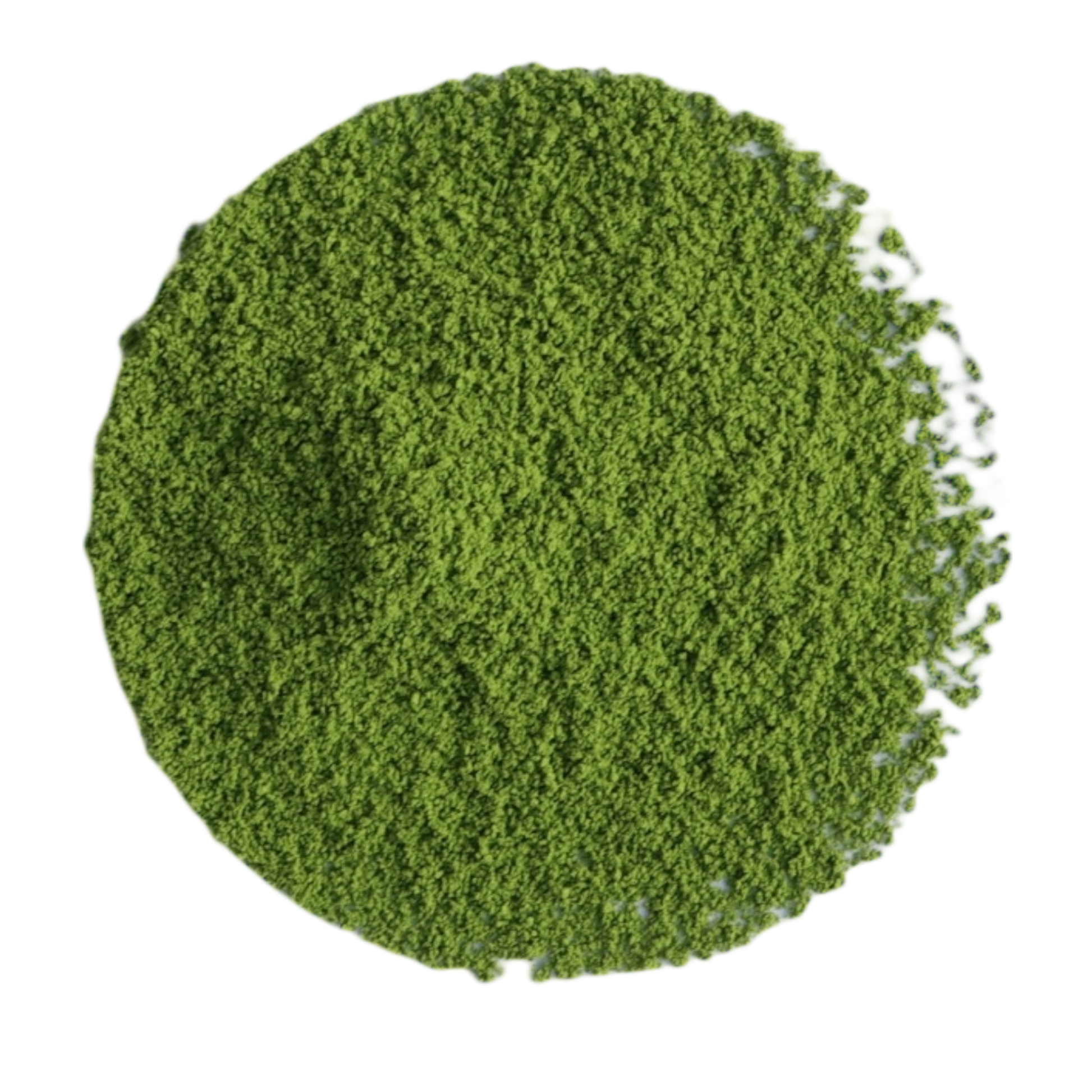 Uji Matcha Samidori Zeremonie - Tee Zwanck