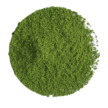 Uji Matcha Samidori Zeremonie - Tee Zwanck