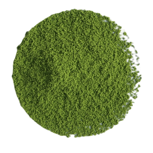 Uji Matcha Samidori Zeremonie - Tee Zwanck