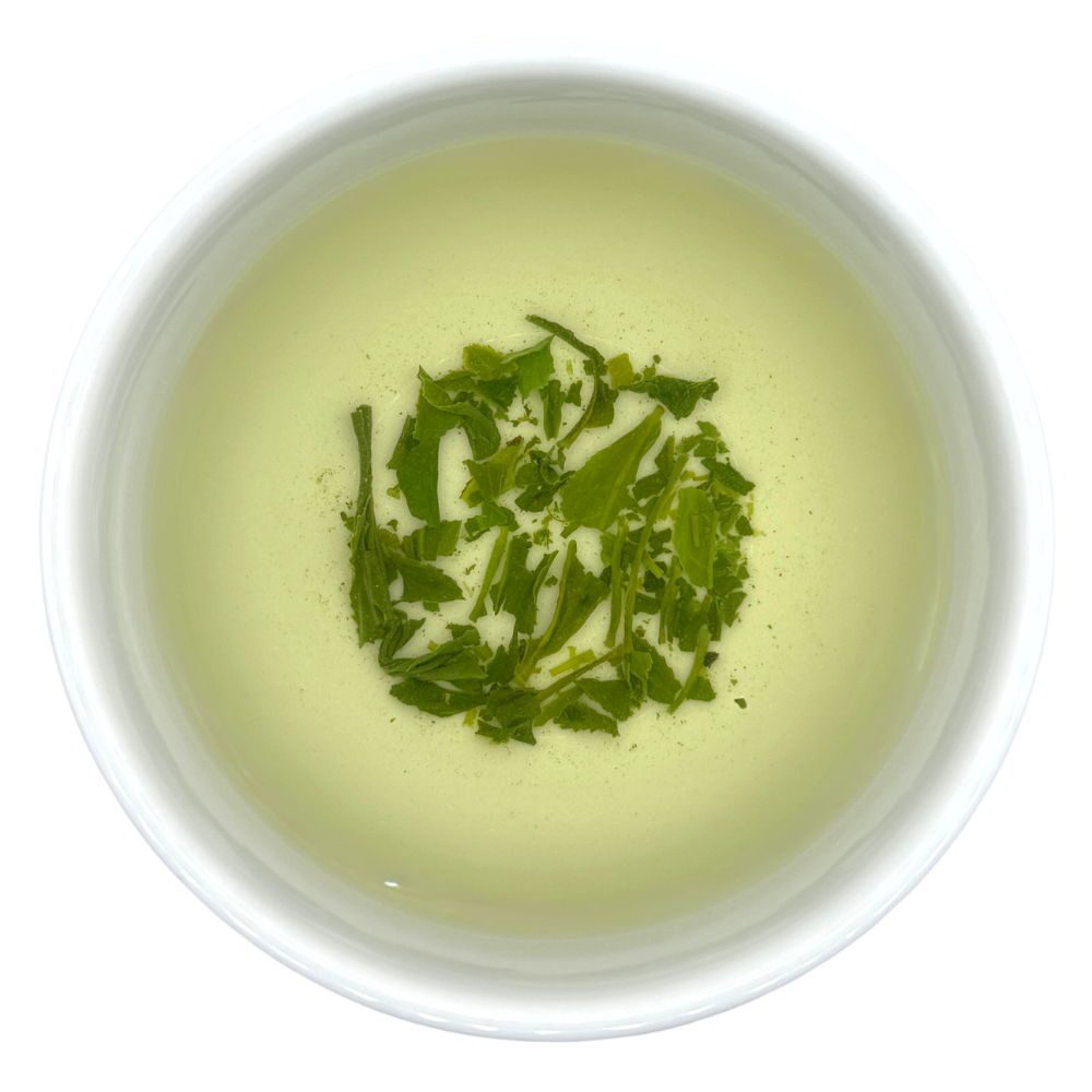 Gyokuro Saemidori BIO - Tee Zwanck