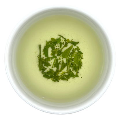 Gyokuro Saemidori BIO - Tee Zwanck