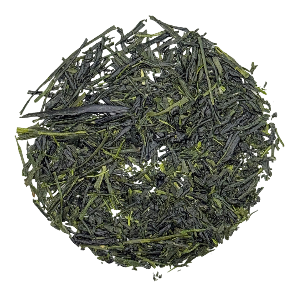 Gyokuro Saemidori BIO - Tee Zwanck