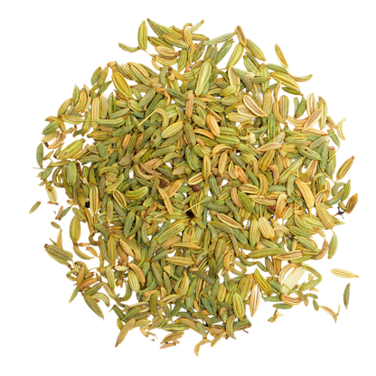 Fenchel BIO - Tee Zwanck