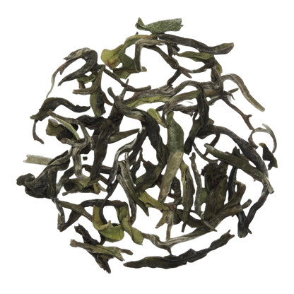Darjeeling  Edelgewächs BIO - Tee Zwanck